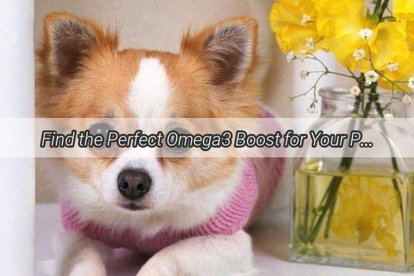 Find the Perfect Omega3 Boost for Your Pup Discover the Best Places to Buy Dog Fish Oil